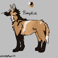 Thumbnail of ANI-3647: Pumpkin •ﻌ•