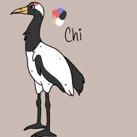 Thumbnail for ANI-3653: Chi •ﻌ•