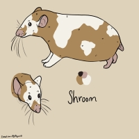 Thumbnail for ANI-3660: Shroom •ﻌ•