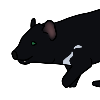 Thumbnail for ANI-3662: Tasmanian Devil (F)