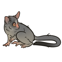 Thumbnail for ANI-3666: Ghosts