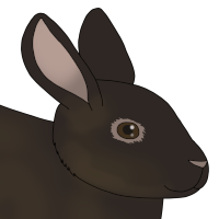 Thumbnail for ANI-3667: Blossom