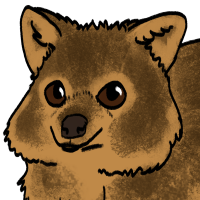 Thumbnail for ANI-3676: Quokka (F)