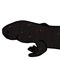 Thumbnail for ANI-3678: Gila Monster (F)