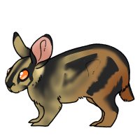 Thumbnail for ANI-3740: Waifu