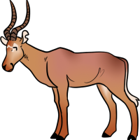 Thumbnail for ANI-3750: Thora