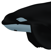 Thumbnail image for ANI-370: Suka