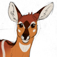 Thumbnail for ANI-388: Apricot