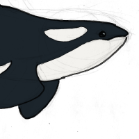 Thumbnail for ANI-391: Fjall