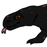 Thumbnail of ANI-3755: Obsidian