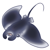 Thumbnail for ANI-3770: Steely Dan