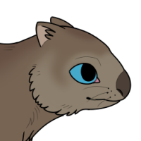 ANI-3782: Common Wombat (M)