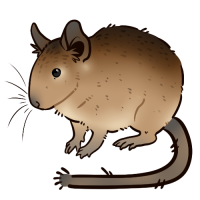 Thumbnail for ANI-3786: Buddy, I've Seen Things