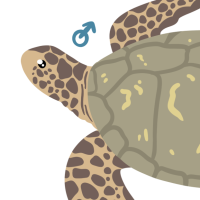 Thumbnail for ANI-3812: Tide