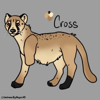 Thumbnail of ANI-3817: Species-Specific Cheetah (M)