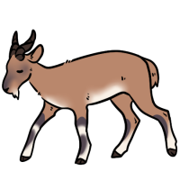 ANI-3841: Dilly Dally