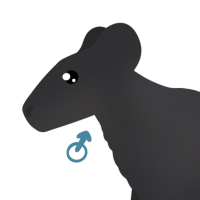 Thumbnail for ANI-3861: Djarrka