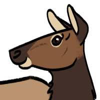 Thumbnail for ANI-3867: Elk (F)