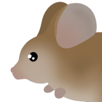 Thumbnail for ANI-3872: Long-eared Jerboa (M)