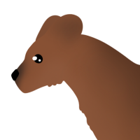 Thumbnail for ANI-3876: Dhole (F)