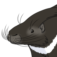 Thumbnail for ANI-3893: Amy