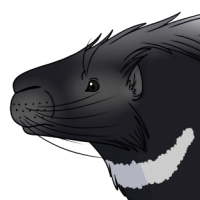 Thumbnail for ANI-3894: Atticus