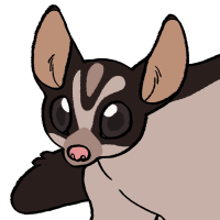 Thumbnail for ANI-3922: Sugar Glider (F)