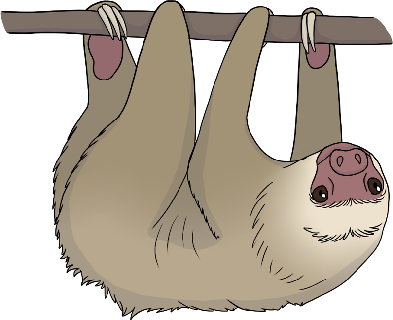 ANI-3924: Cashew