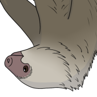 Thumbnail for ANI-3925: Hazel