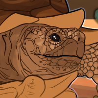 Thumbnail for ANI-3929: African Spurred Tortoise (M)