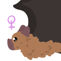 Thumbnail for ANI-3943: Bixie