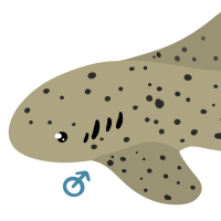 Thumbnail for ANI-3945: Marvin