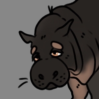 Thumbnail of ANI-3951: Pygmy Hippopotamus (M)