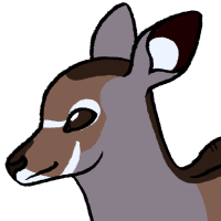 Thumbnail for ANI-3956: Safiya