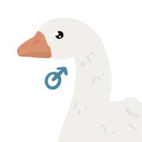 Thumbnail for ANI-3976: Gary