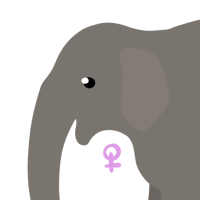 Thumbnail for ANI-3977: Swarna