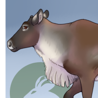 Thumbnail of ANI-3980: Caribou (M)
