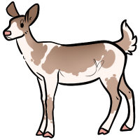 Thumbnail for ANI-4012: White-Tailed Deer (F)