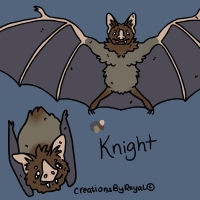 Thumbnail of ANI-4014: Knight •ﻌ•