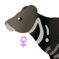 Thumbnail for ANI-4024: Noct