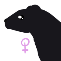 Thumbnail for ANI-4025: Nova