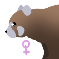Thumbnail for ANI-4026: Chocolate Red Panda (F)