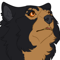 Thumbnail of ANI-4040: Spectacled Bear (M)