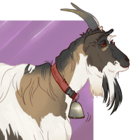 Thumbnail for ANI-4041: Domestic Goat Dutch Landrace  (F)
