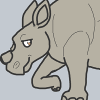 Thumbnail for ANI-4049: White Rhinoceros (M)