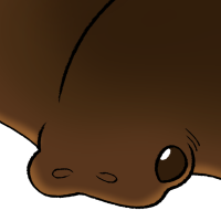 Thumbnail for ANI-4060: Cownose Ray (M)