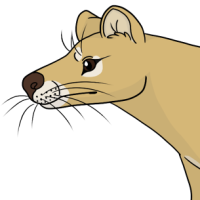 Thumbnail for ANI-4076: Corinna