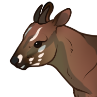 Thumbnail for ANI-4081: agung