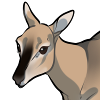 Thumbnail for ANI-4083: bacia