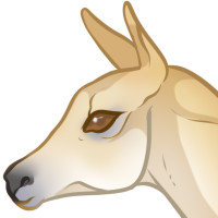 Thumbnail for ANI-4086: gita